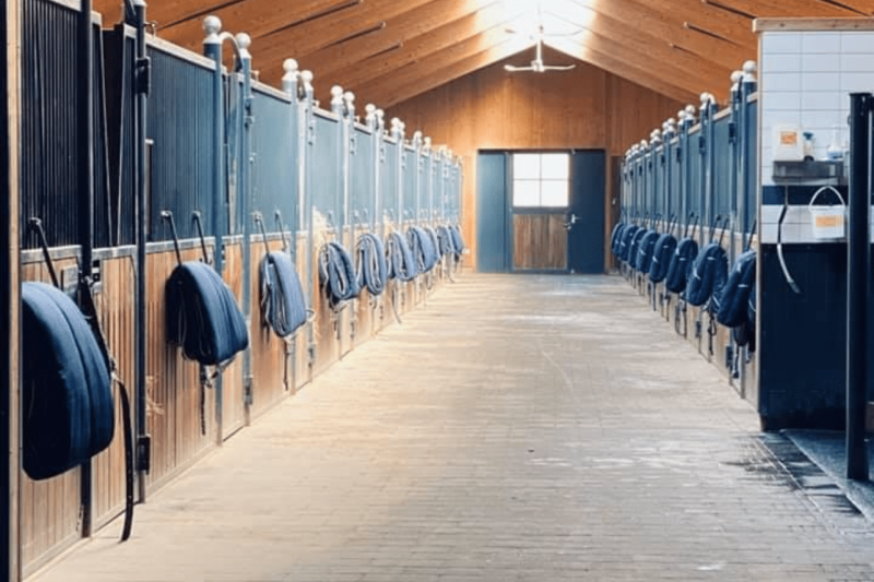 Well Maintained Stables